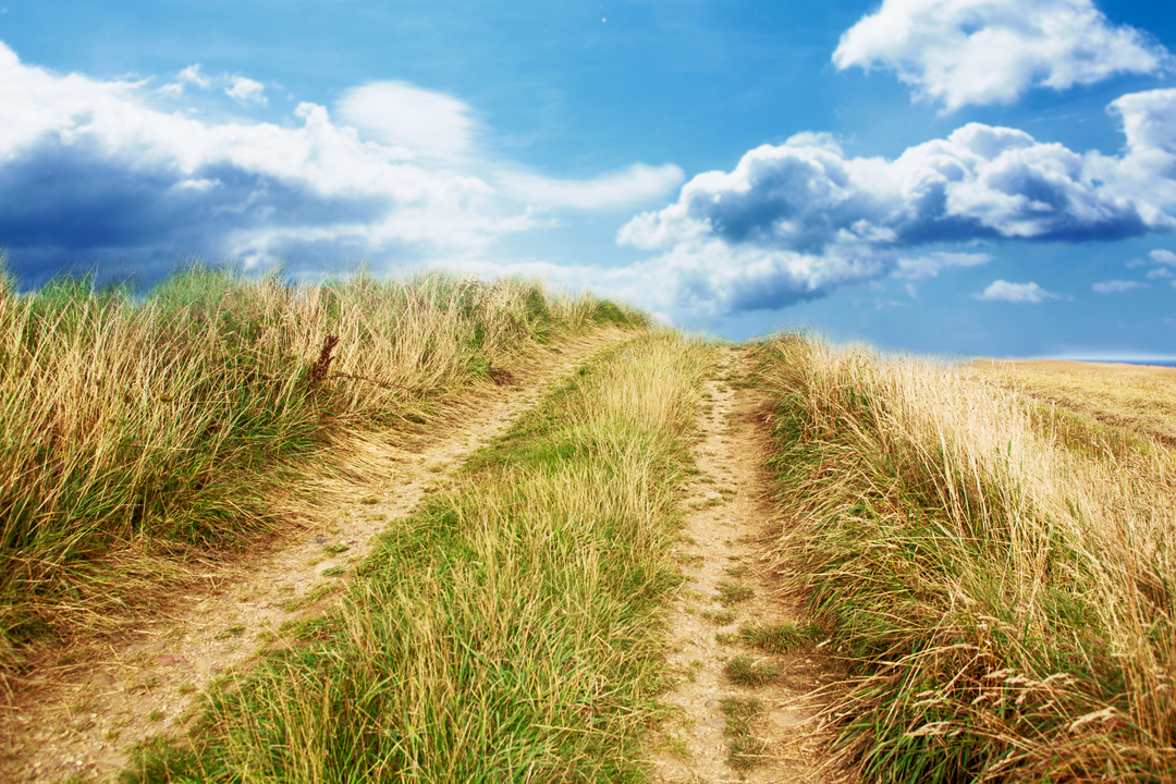 Pathway Over Rolling Sand Dunes with Clear Blue Sky - Download Free Stock Images Pikwizard.com