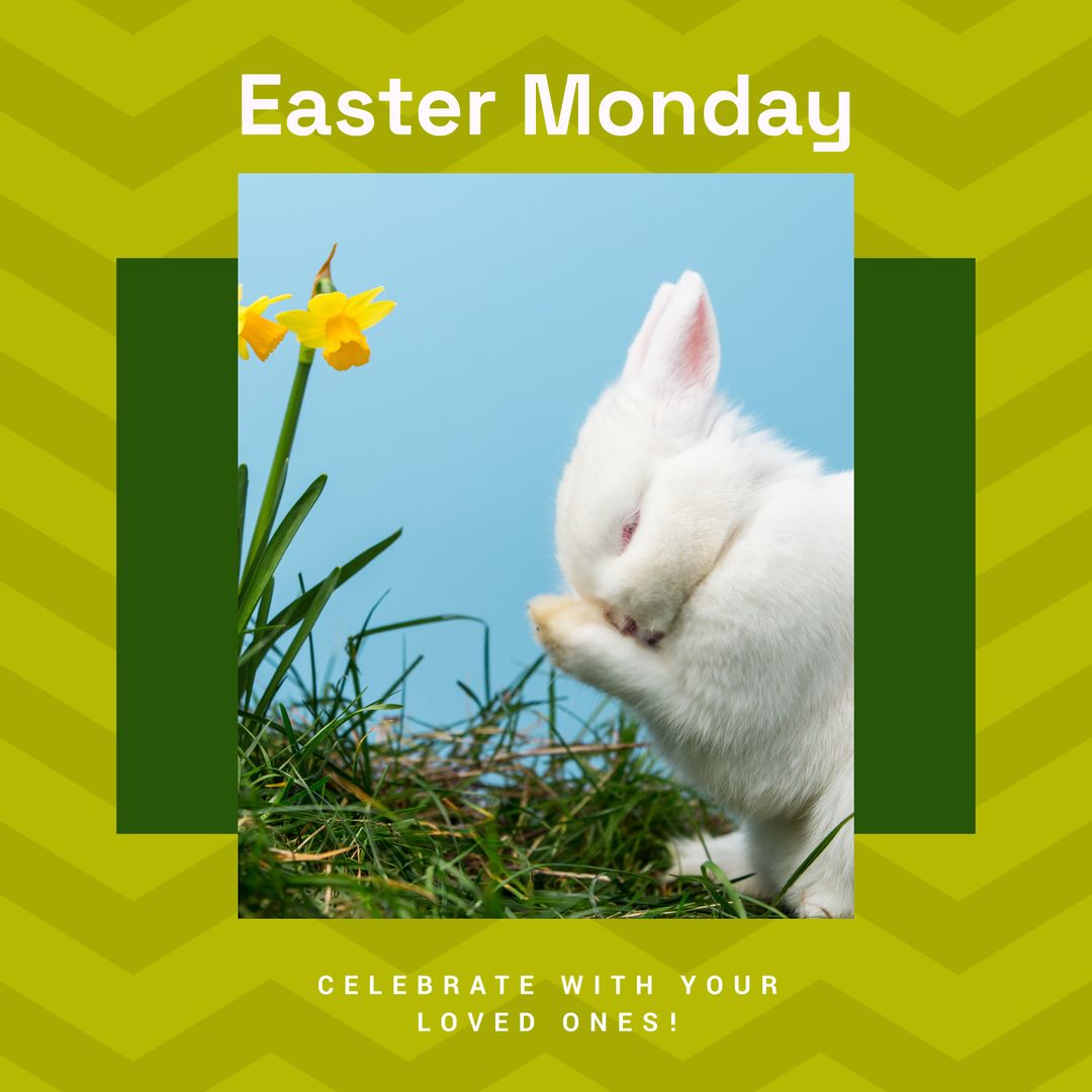 Cute White Rabbit Celebrating Easter Monday with Daffodils