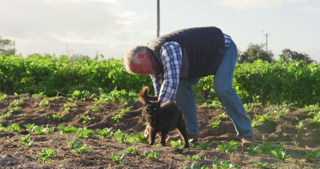 Senior Farmer Tending to Garden with Playful Dog - Free Images, Stock Photos and Pictures on Pikwizard.com