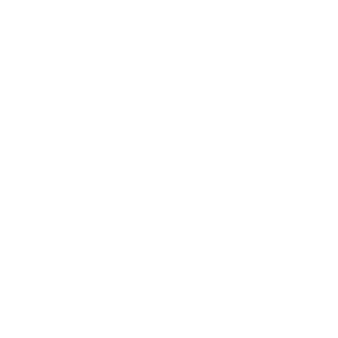 White Pie Chart Icon on Transparent Background