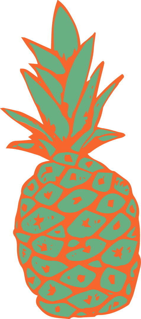 Tropical Pineapple Design Outline on Transparent Background