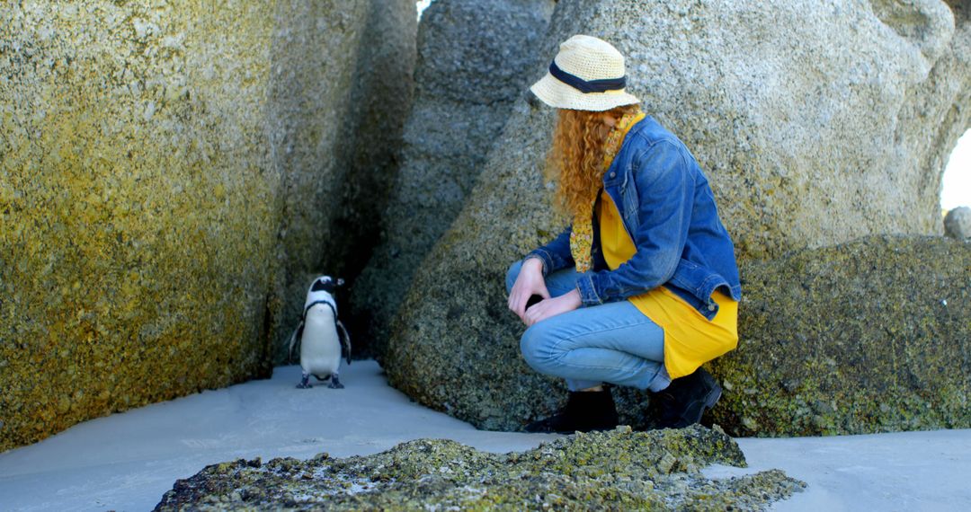 Woman Observing Penguin on Rocky Beach Interaction - Free Images, Stock Photos and Pictures on Pikwizard.com