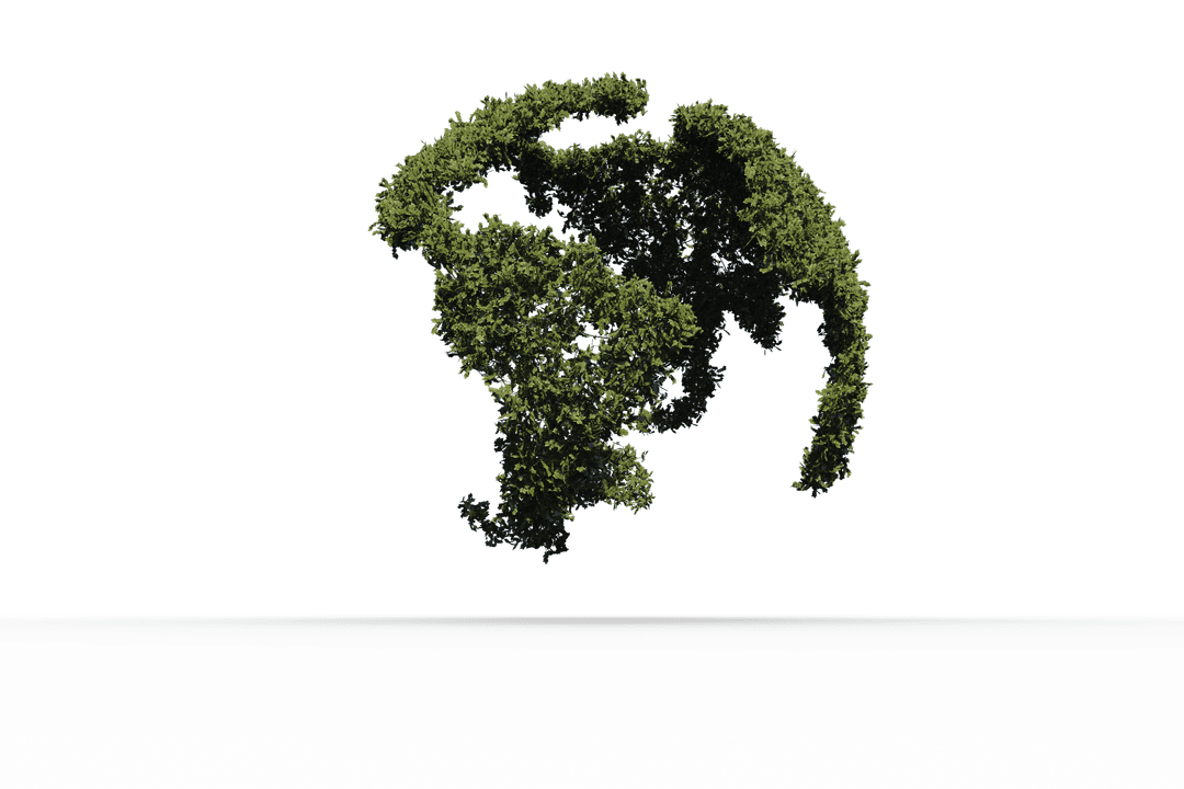 Transparent Globe Shaped with Greenery