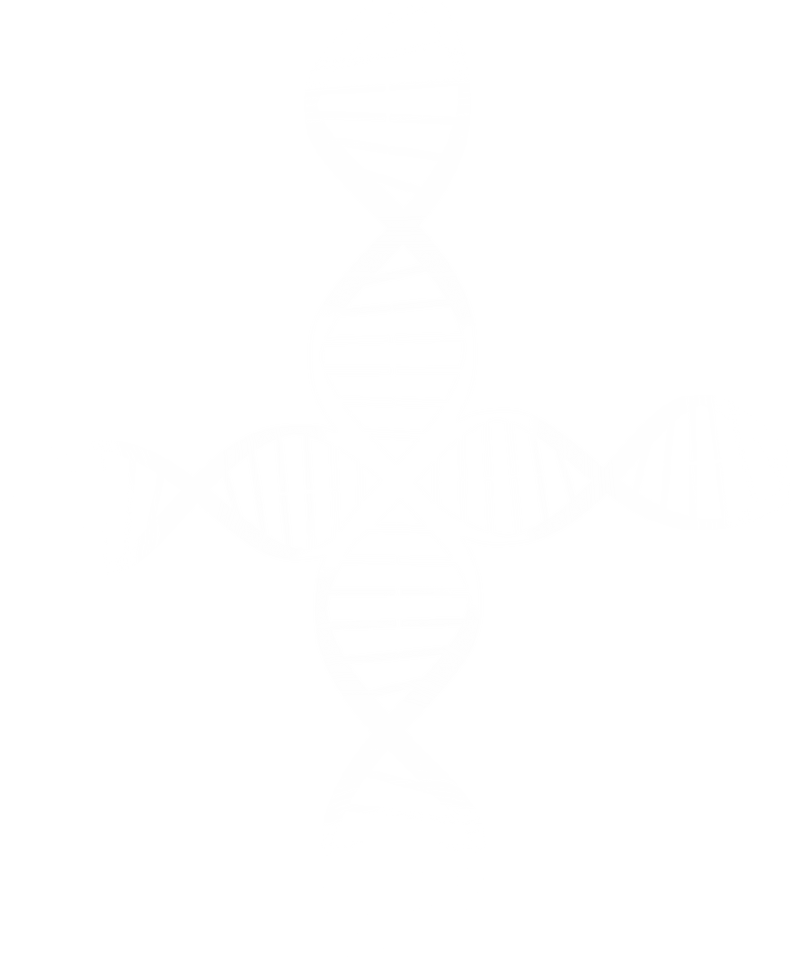 Transparent DNA Strands Illustration in Cross Shape - Download Free Stock Images Pikwizard.com