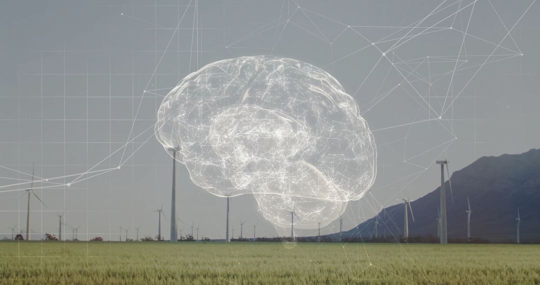 Digital Brain Networks over Wind Farm with Turbines in Rural Landscape