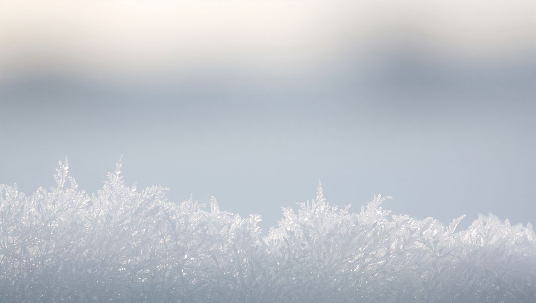 Morning frost crystals sparkling on snowy surface with soft pale sky
