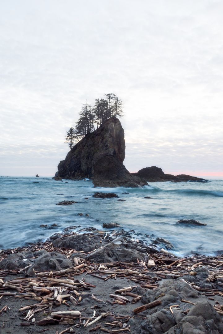 Dramatic Coastal Seascape with Rocky Island and Driftwood - Free Images, Stock Photos and Pictures on Pikwizard.com