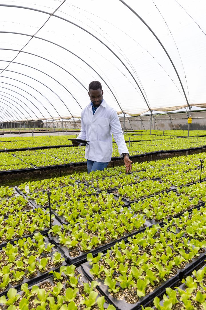 Horticulturist Inspects Greenhouse Seedlings with Tablet