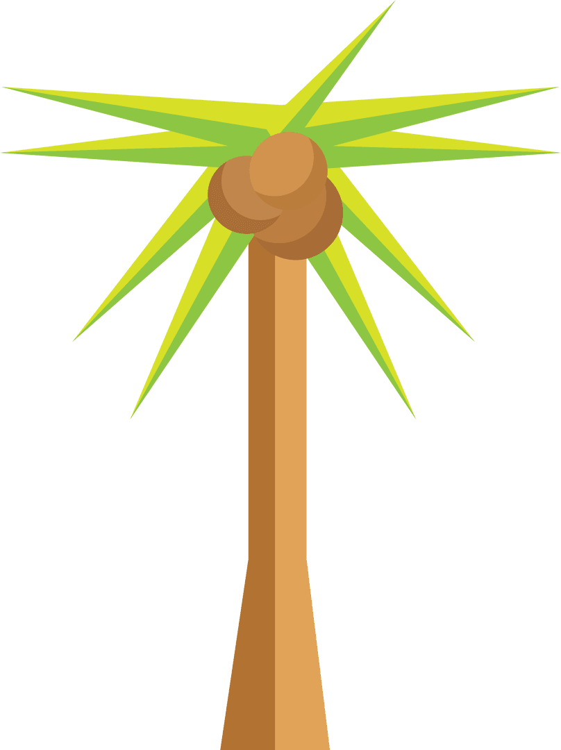 Digital Coconut Tree Illustration on Transparent Background