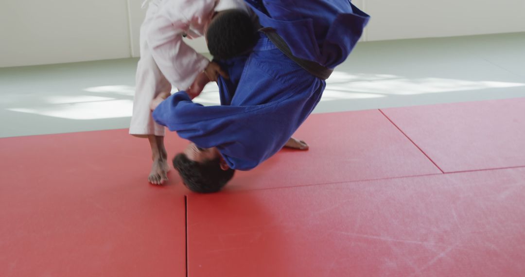 Martial Artists Practicing Judo Throw - Free Images, Stock Photos and Pictures on Pikwizard.com