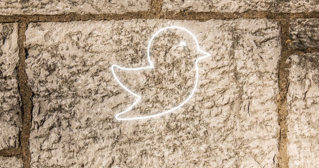 Neon Bird Icon Illuminates Brick Wall for Digital Communication