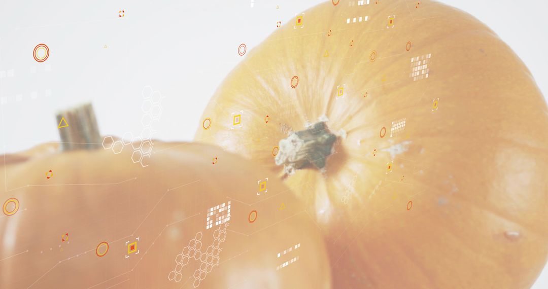 High-key Pumpkin Closeup with Hexagon Infographic Overlays and Bright Translucent Look