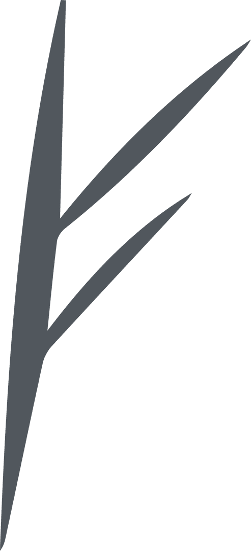 Abstract Dark Grey Geometric Graphics on Transparent Background