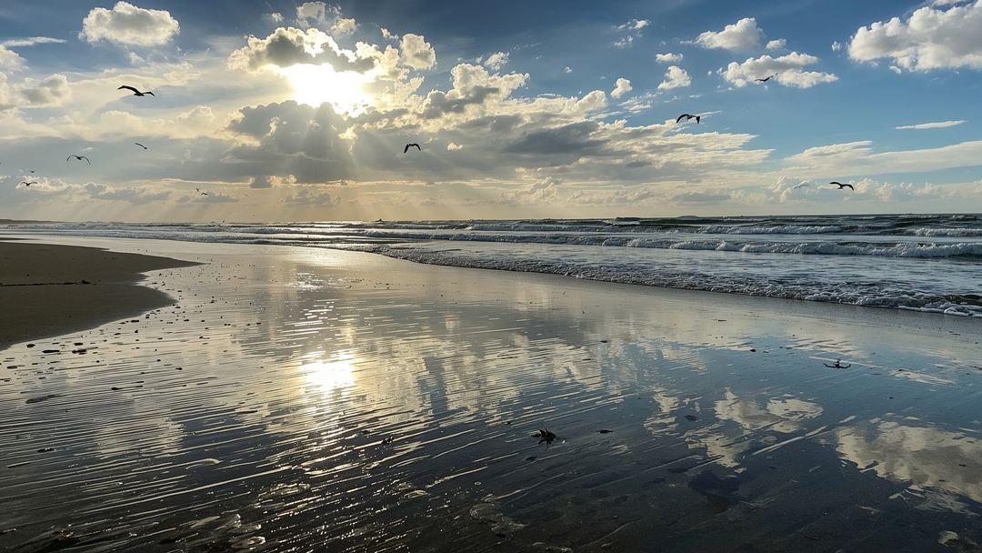 Dramatic Coastal Reflection with Seagulls and Sunset Sky