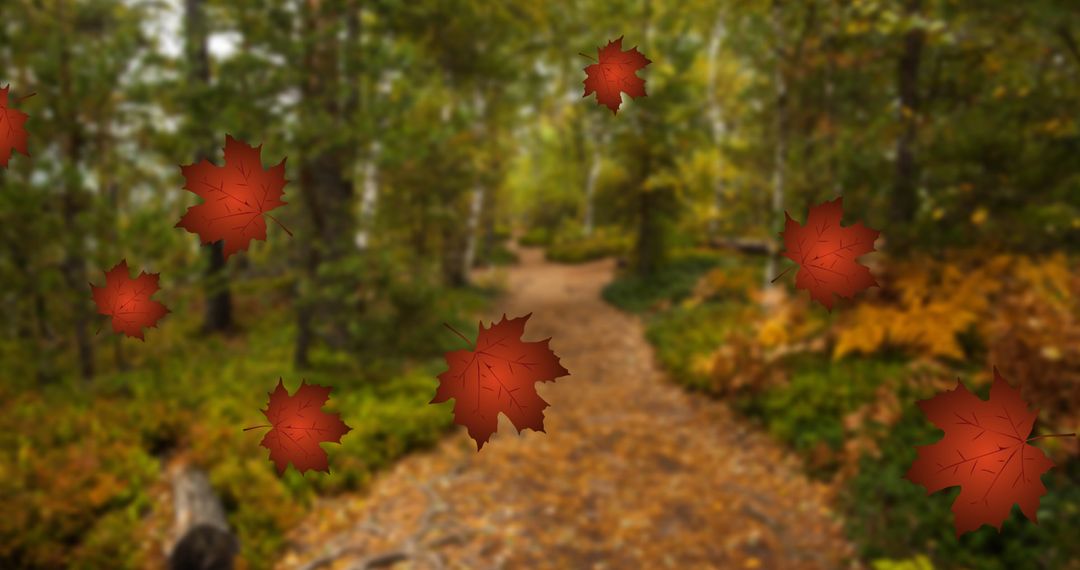 Red Autumn Leaves Falling in Lush Forest During Fall