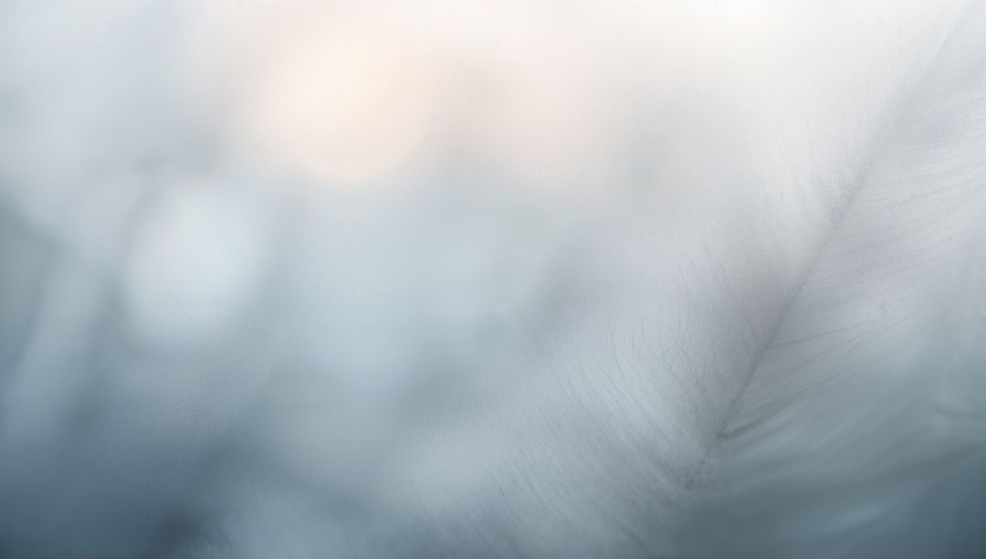 Soft Feather Macro with Muted Blue Bokeh, Airy Minimalist Plume, Delicate Texture
