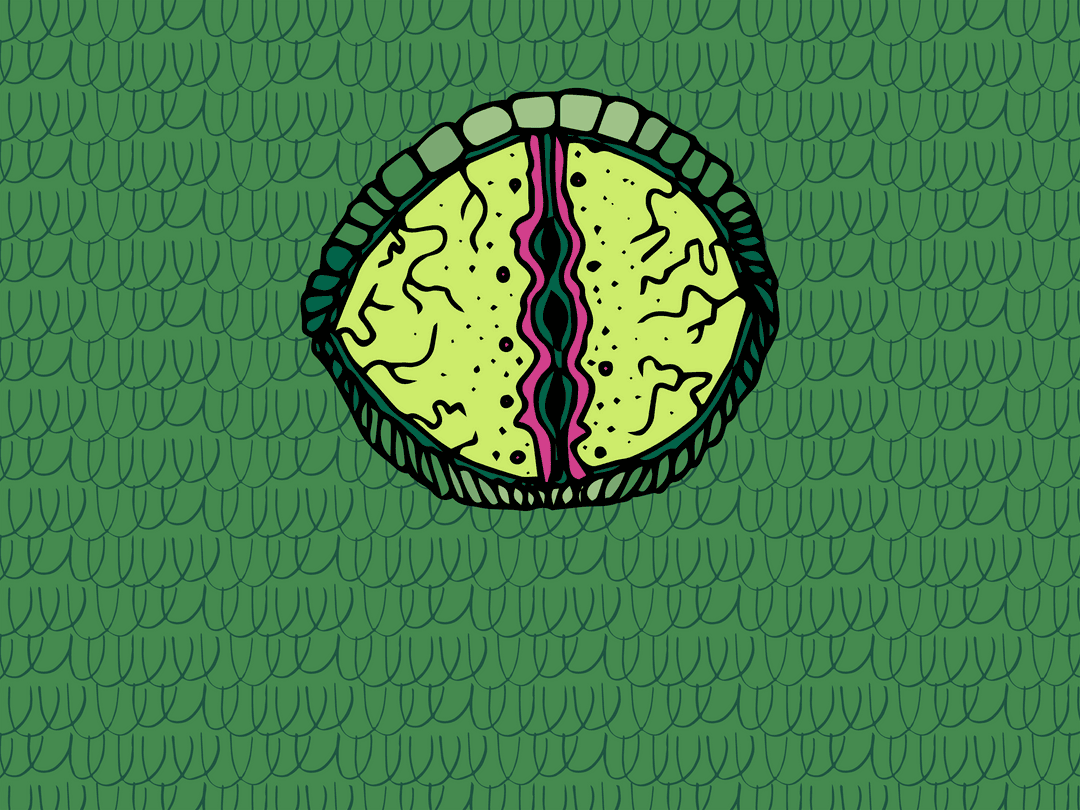 Transparent Abstract Eye Illustration on Scaled Background