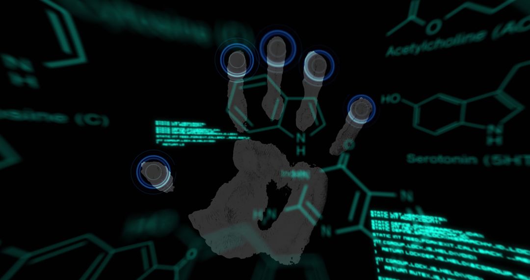 Biometric Handprint with Digital Data Overlay for Security