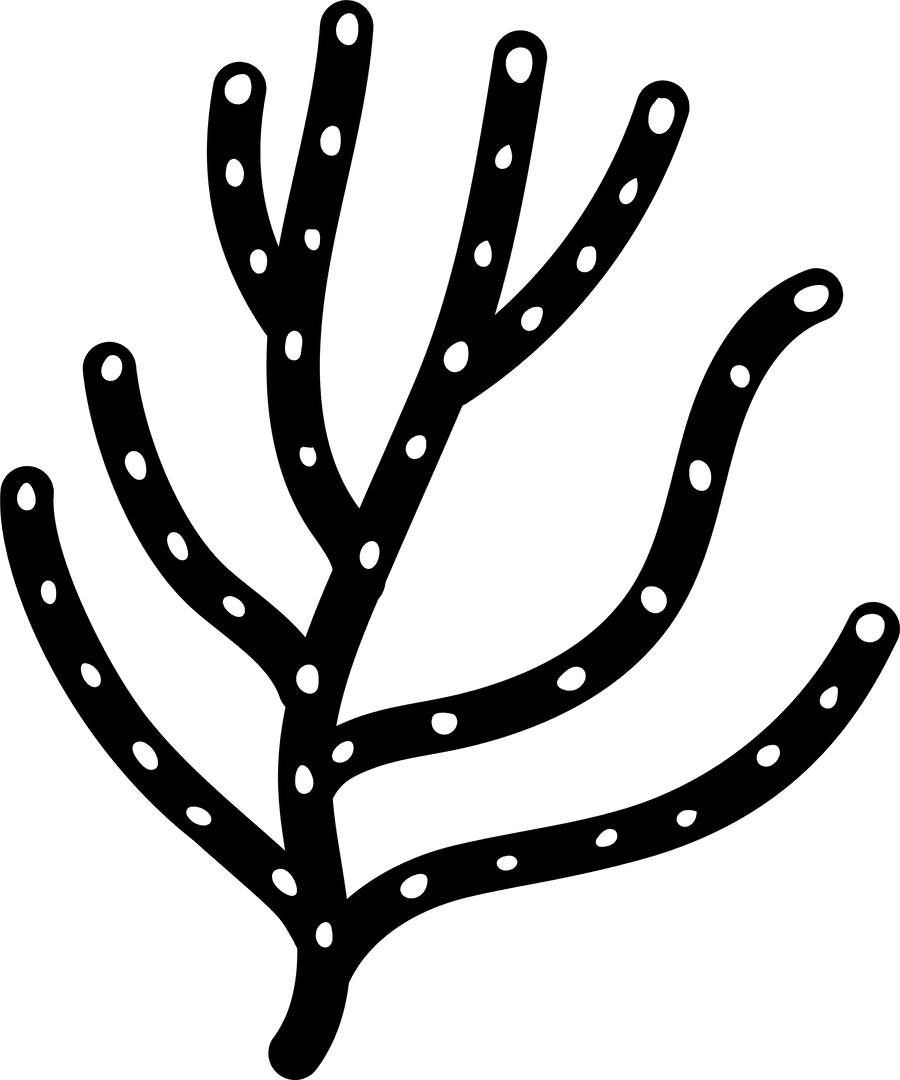 Transparent Black Coral Branch with White Spots on Background