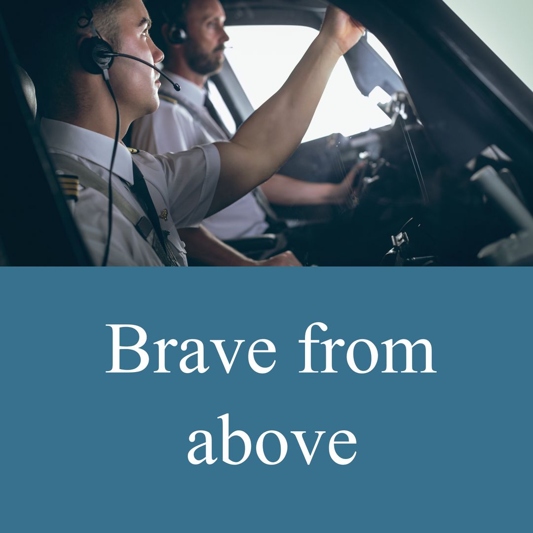 Professional Pilots Cockpit View Planning Flight Operations