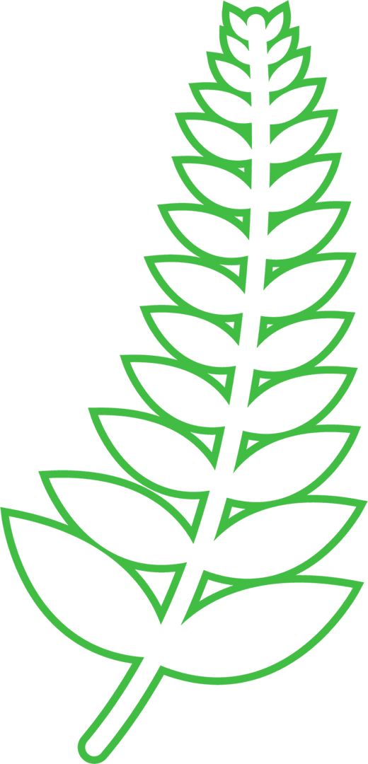 Green Cereal Leaf Symbol on Transparent Background