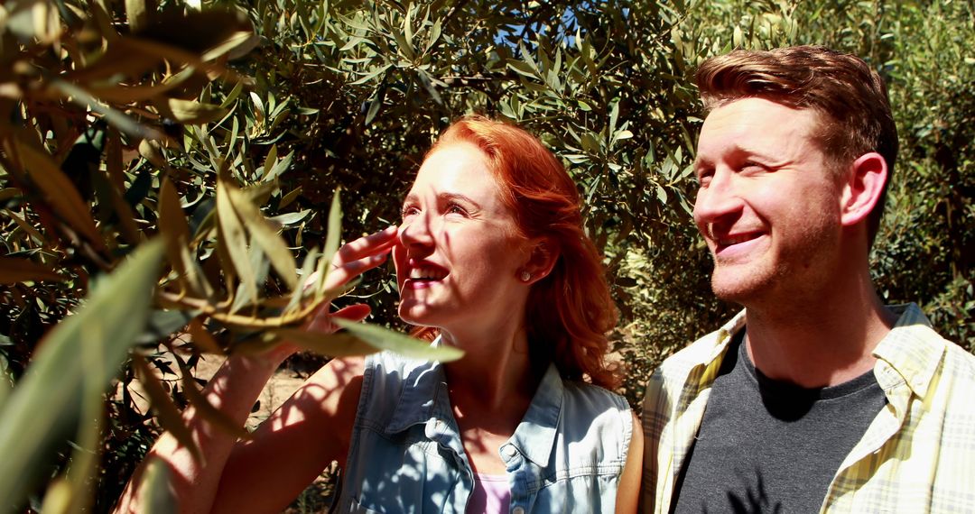 Couple Exploring Olive Grove on Sunny Day with Enthusiasm for Nature