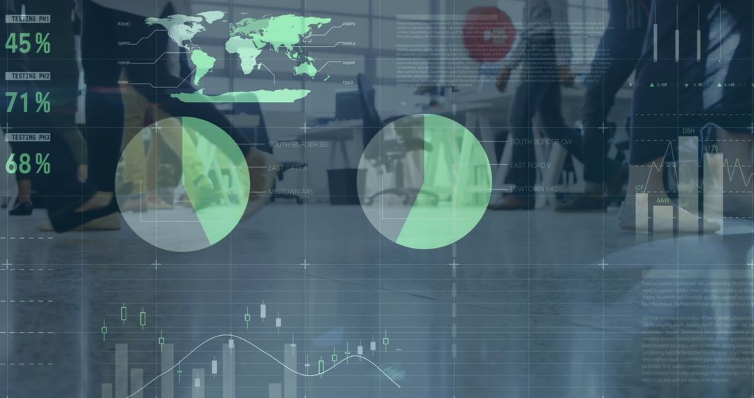 Digital Financial Data Visualization in Business Environment