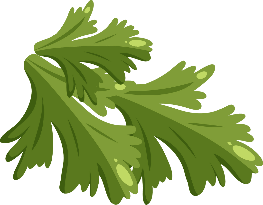 Transparent Vector Herb Leaves with Lobed Edges Illustration