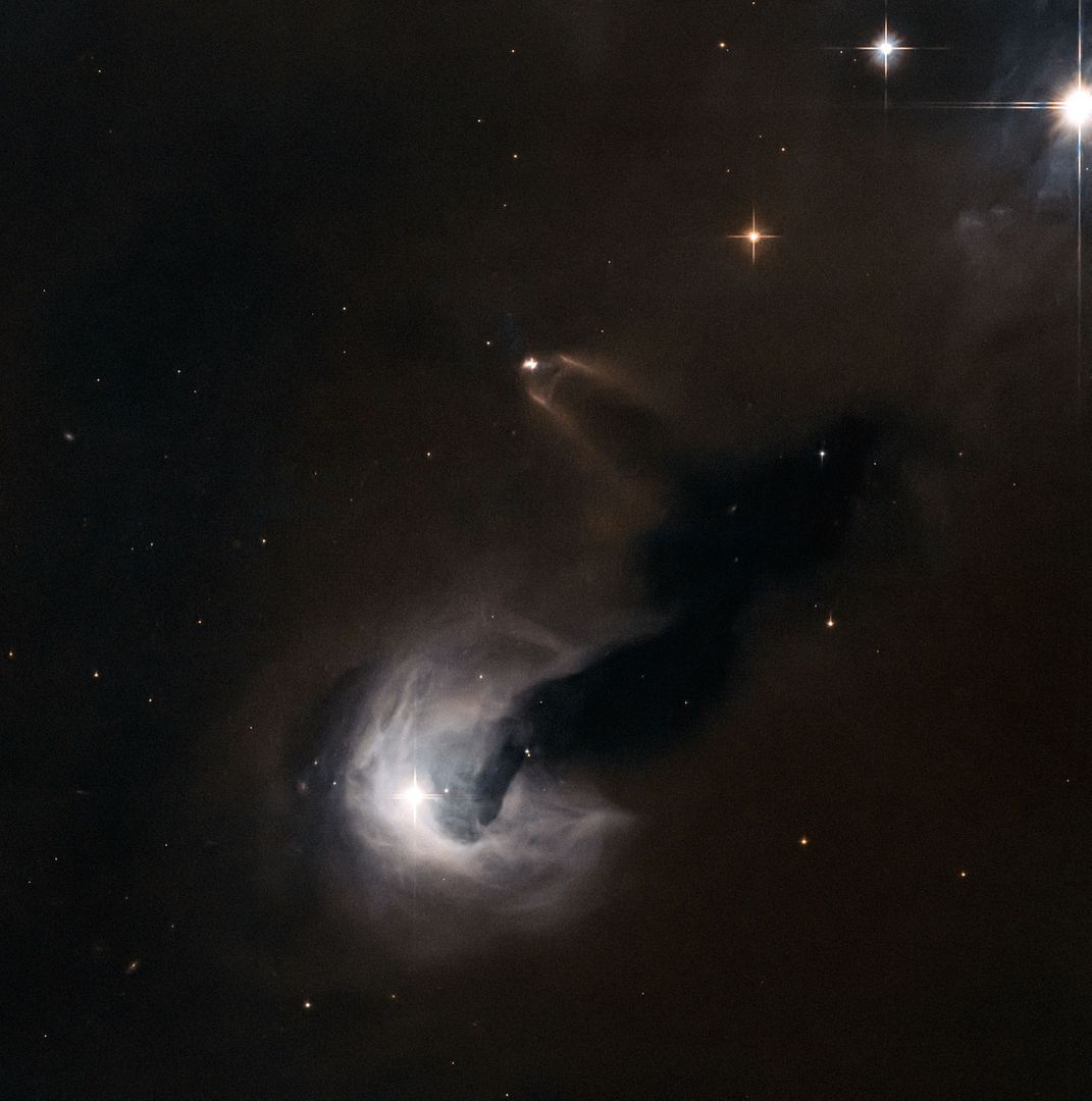 Young Stellar Object Surrounded by Reflection Nebula in Hubble Image - Free Images, Stock Photos and Pictures on Pikwizard.com