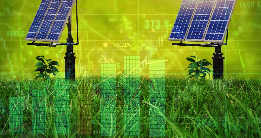 Solar Panels in Field with Financial Graphs Overlay