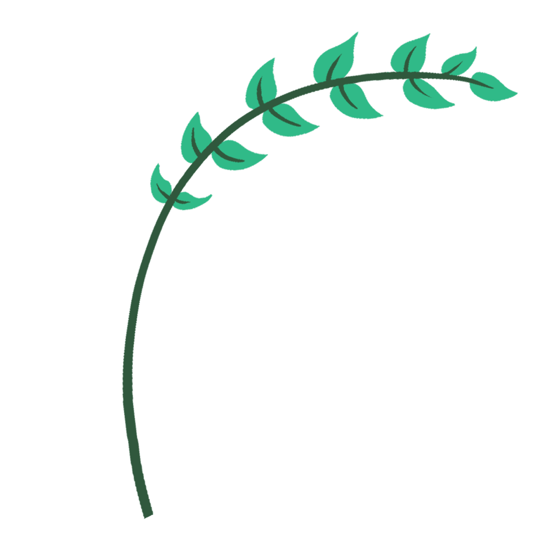 Green Vine with Leaves on Transparent Background