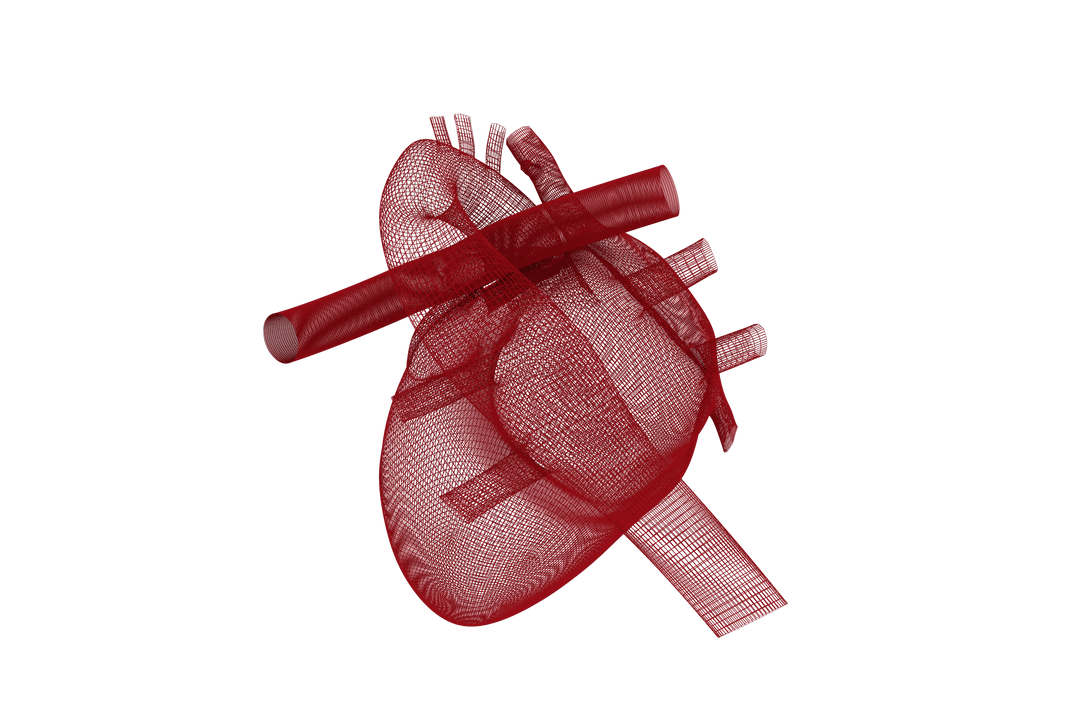 Transparent 3D Red Heart Model