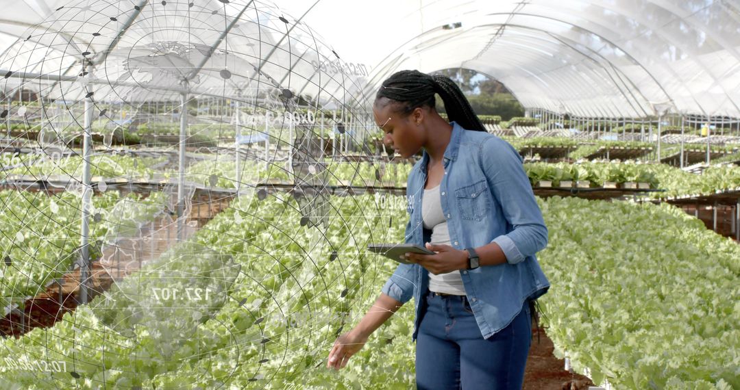 Modern Farmer Using Technology to Monitor Crops in Greenhouse