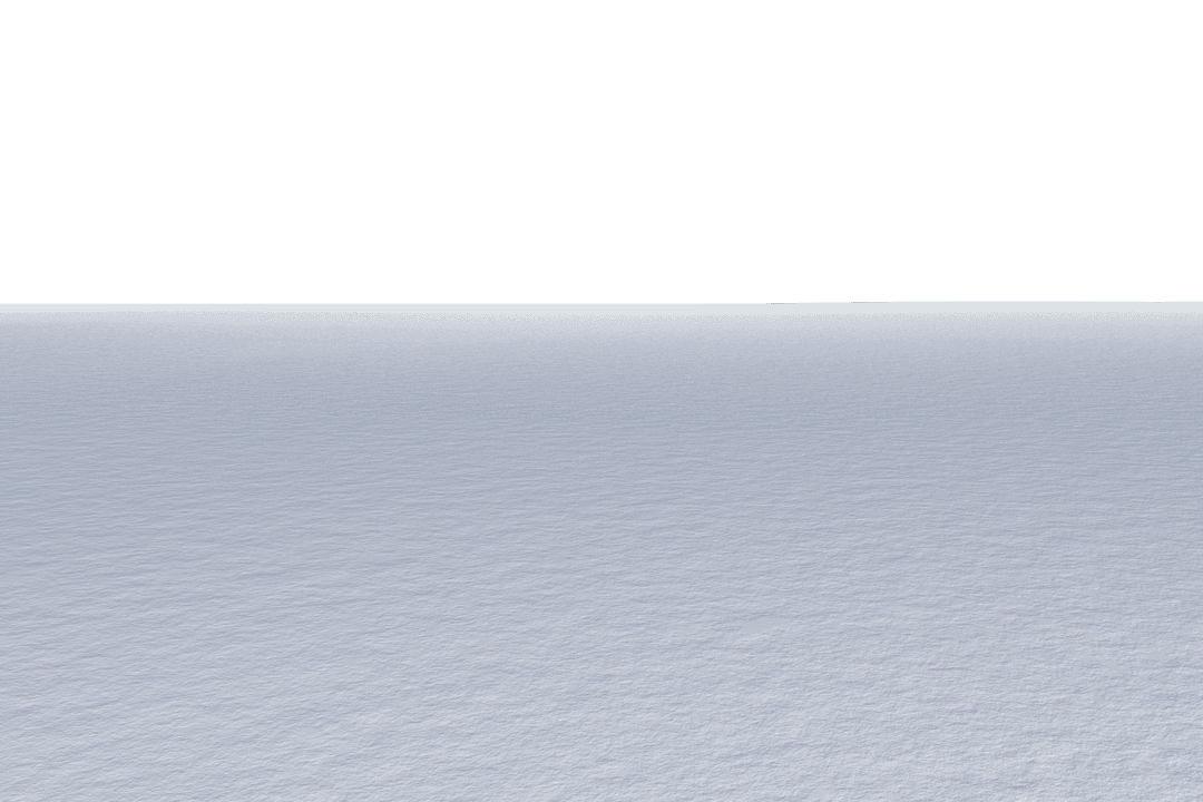 Transparent Winter Landscape with Snowy Ground