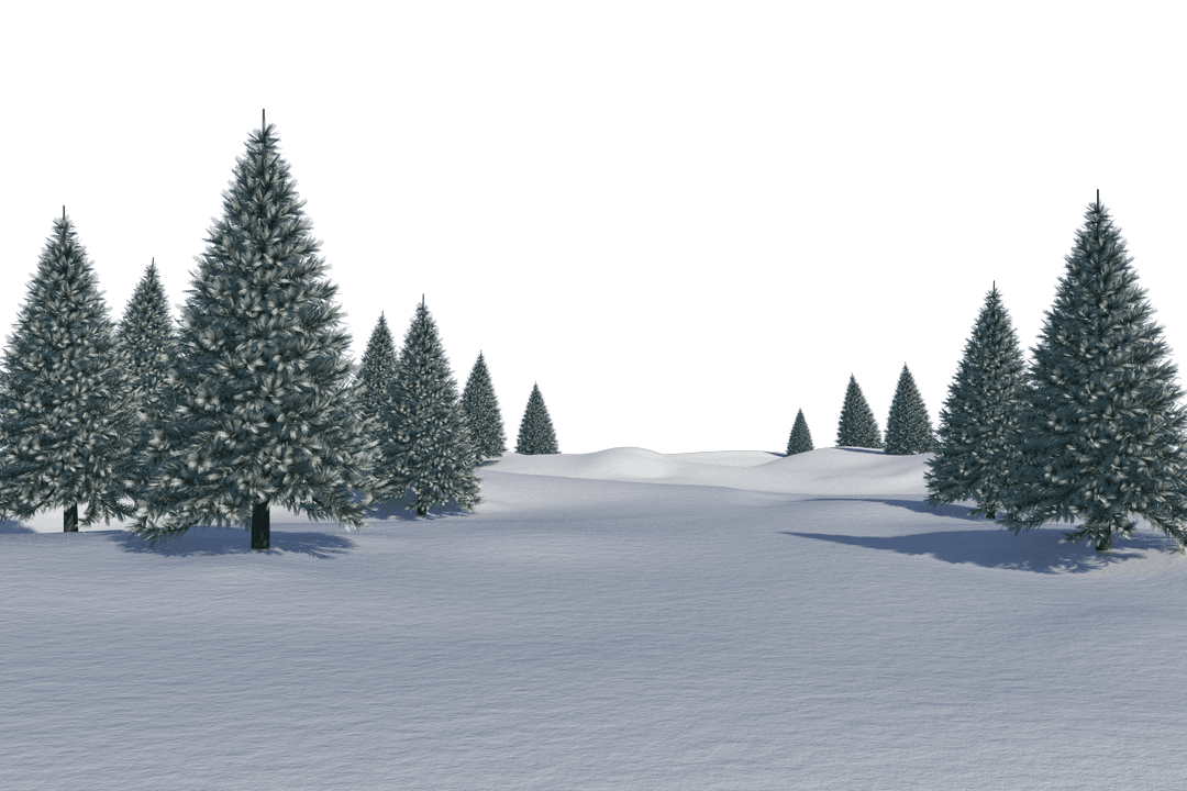 Transparent Snowy Landscape with Fir Trees in Wintertime