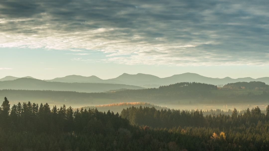 Misty Forested Mountain Ranges at Sunrise - Free Images, Stock Photos and Pictures on Pikwizard.com