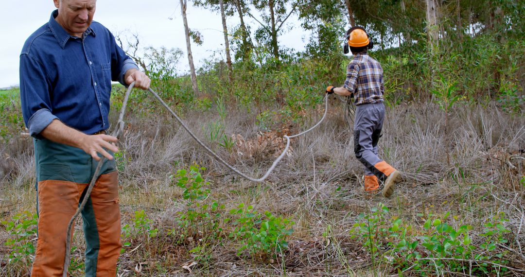 Park Rangers Handling Large Snake in Field - Free Images, Stock Photos and Pictures on Pikwizard.com