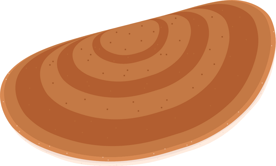 Stylized Wooden Disc Graphic with Concentric Rings on Transparent Background