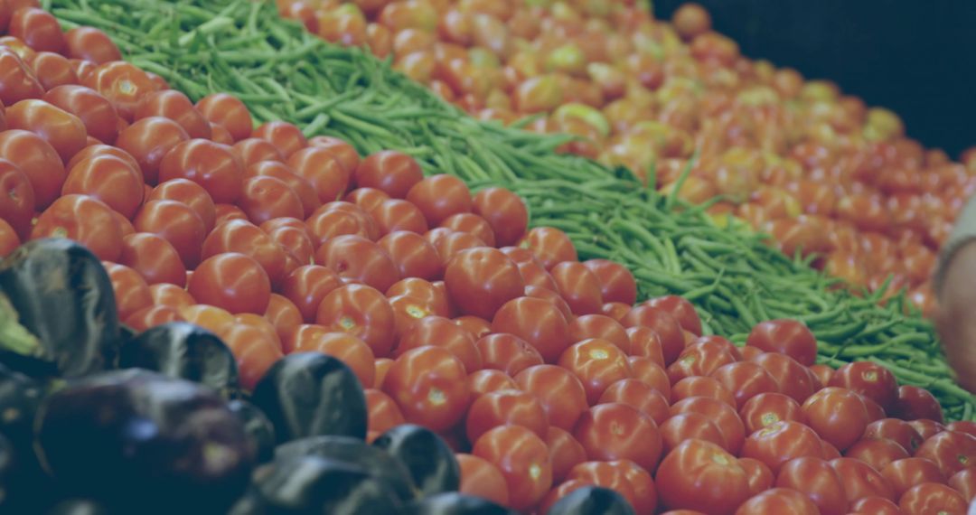 Ripe Tomatoes Arranged in Neat Rows with Fresh Green Beans and Eggplants on Market Trays