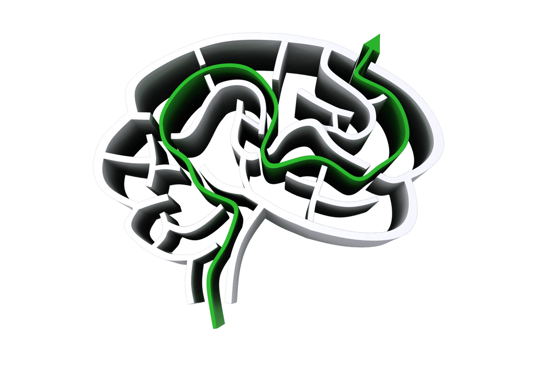 Transparent Brain Model with Green Arrow Pathway on White Background