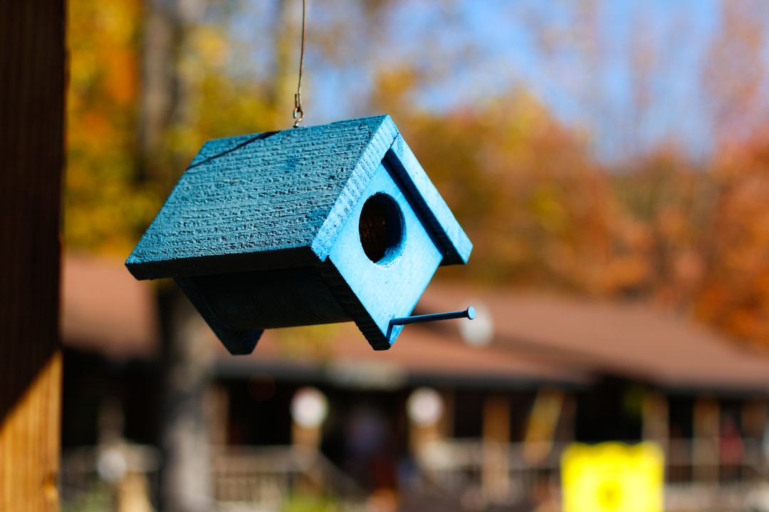 Blue Wooden Birdhouse Hanging Outdoors Among Autumn Trees - Free Images, Stock Photos and Pictures on Pikwizard.com