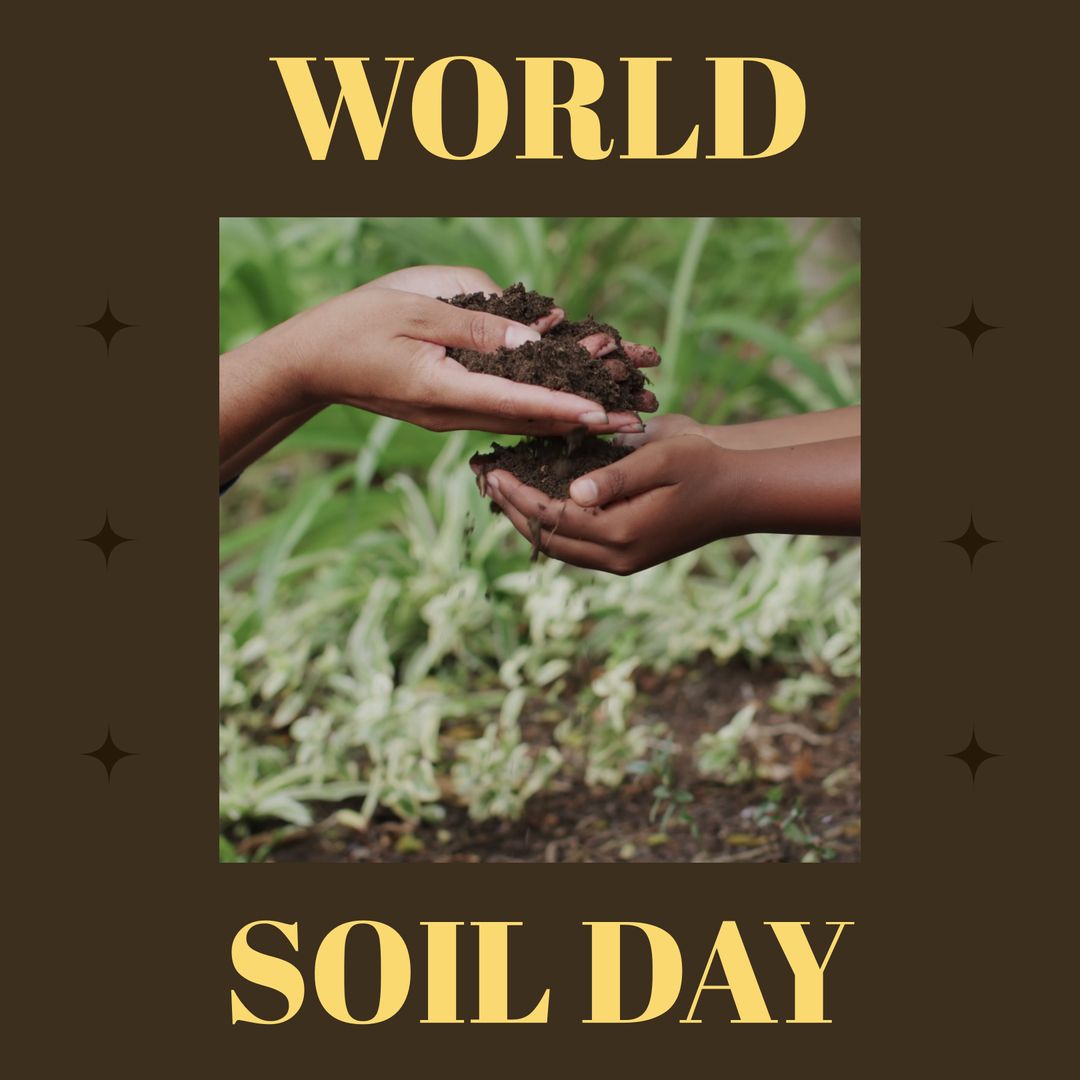 World Soil Day: Celebrating Healthy and Sustainable Soil Management