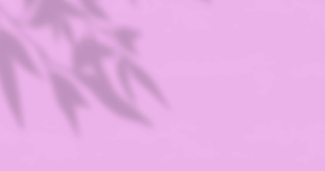 Leaf Shadows on Pink Background with Copy Space