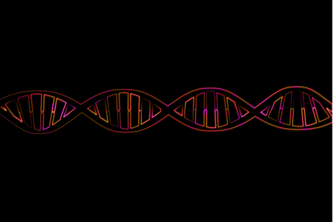 Transparent Neon DNA Helix on Black Background for Science and Education