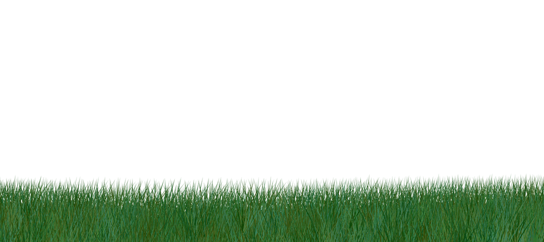 Digital Illustration of Green Grass on Transparent Background