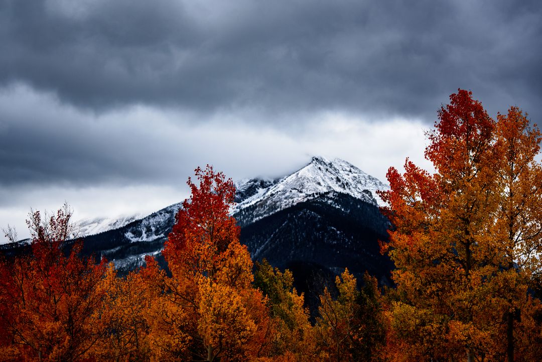 Snow-Capped Mountain with Autumn Foliage Under Cloudy Sky - Free Images, Stock Photos and Pictures on Pikwizard.com