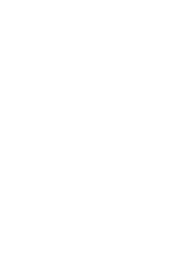 Transparent Abstract Geometric Pattern With Floral Elements