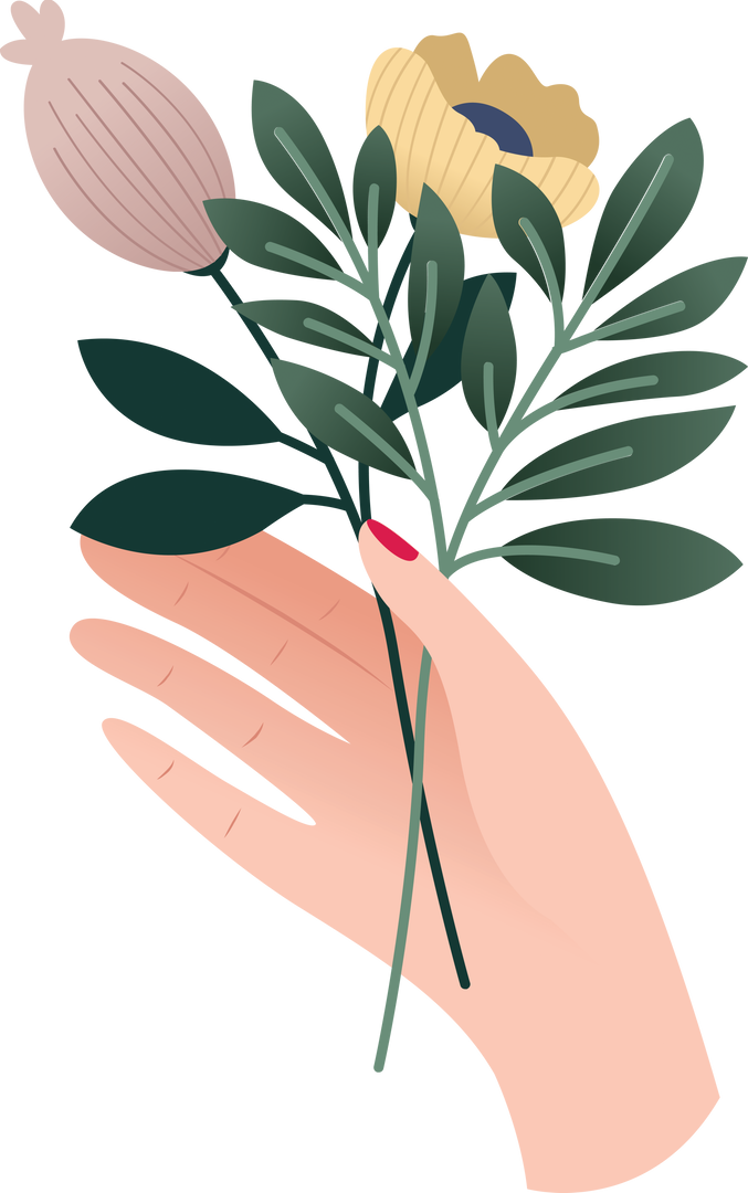 Transparent Hand Holding Delicate Floral Bouquet Illustration - Download Free Stock Images Pikwizard.com