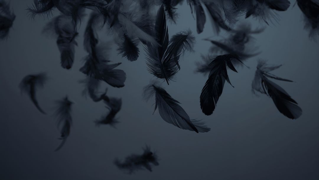 Floating Dark Feathers Against Gradient Backdrop for Elegant Abstract Design