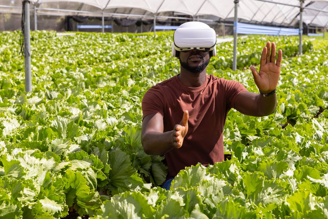 Innovative VR Technology in Sustainable Horticulture